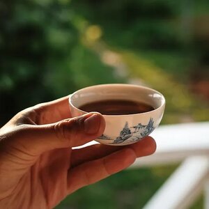 Acupunctuur Ji Shan Tang image 5