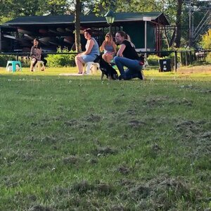 Pim Hondenopvoeding image 2