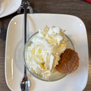 DigiBeet en Katten Café image 5