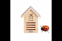 Lieveheersbeestjes in de hoofdrol bij het Koetshuijs