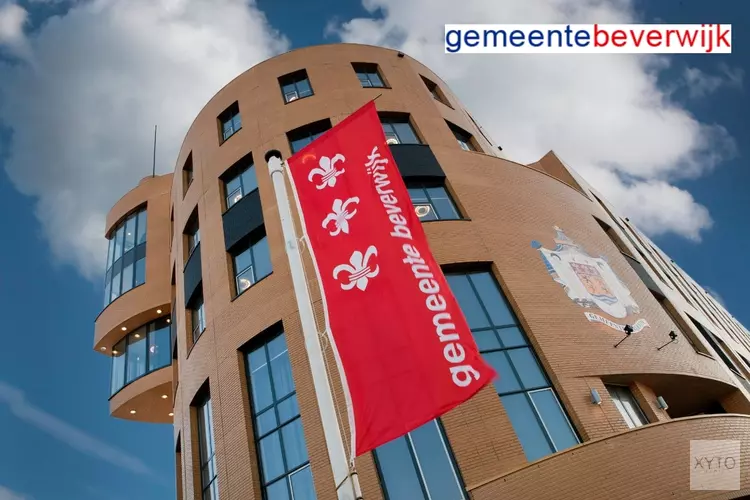Kap bomen als gevolg van Iepenziekte