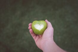 Oogstfeest op Kinderboerderij De Baak