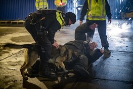 Politiehonden oefenen met vuurwerk