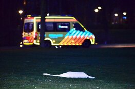 Politie schiet hond neer die vrouw aanviel