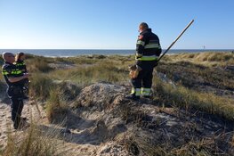 Duinbrand in Velsen-Noord snel onder controle