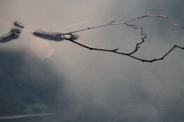 Inspiratiesessie &#39;Bewustzijn en Beeld&#39; bij ISOO