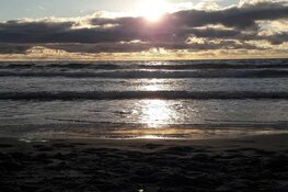 Fotowedstrijd Noordzee | Strandworkshop winnen