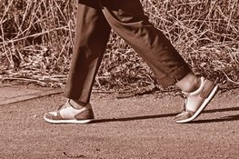 Downloads van wandelroutes op Noord-Hollandpad verdubbeld