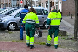 Katten gered bij woningbrand in Beverwijk