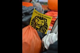 Koningsdag in Beverwijk weer anders