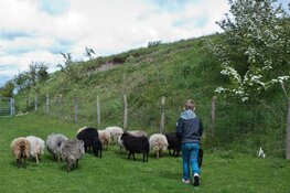 Duurzame toekomstplannen voor het Muziekfort Beverwijk
