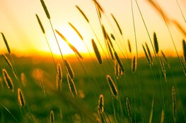 Zomer op maandag van start, maar temperatuur daalt