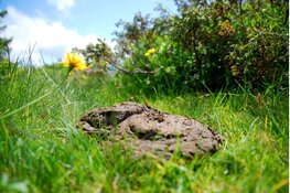 Ontdek alles over poep op Kinderboerderij De Baak