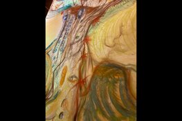 Workshops in de Kop van WaZ