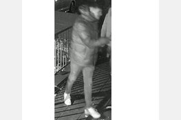 Wie herkent deze 2 verdachten?