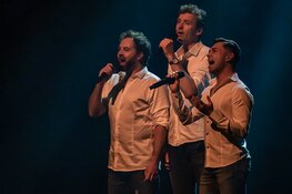De unieke sound van The Bee Gees in het theater!
