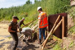 Nieuwe ijsvogelwand op Landgoed Westerhout