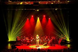 Kamerata Zuid en Marcel van Veenendaal: Grijs Gedraaid