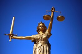 Celstraf na oplichting oudere vrouwen door zich als pakketbezorger voor te doen