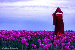 Expositie Beeldpoëzie van Lia Goldman 18 maart 2023