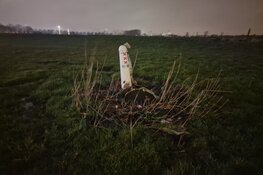 Ajax-supporters herdenken Carlo Picornie in Beverwijk
