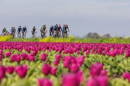 4.500 fietsers koersen door de prachtige provincie tijdens 49e Ronde van Noord-Holland