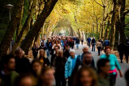 Sportorganisatie Le Champion staat stil bij 20-jarig wandeljubileum
