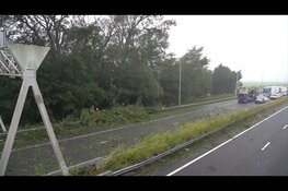 A9 praktisch dicht door omgevallen bomen