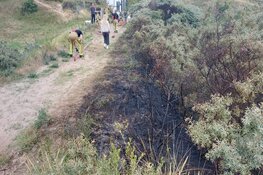 Beginnende duinbrand ontdekt in Wijk aan Zee