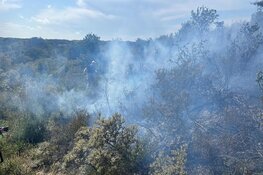 Brandweer met man en macht paraat bij flinke natuurbrand in Heemskerk