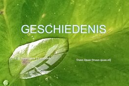 Geschiedenis