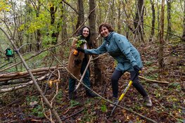Boompjes en struiken krijgen tweede leven in Beverwijk en Heemskerk