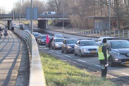 Opnieuw demonstratie bij Tata Steel Chess