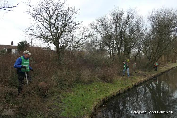 Samen bomen redden