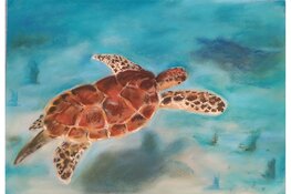 Nieuwe tentoonstelling Lucasgilde Beverwijk in Stadhuis