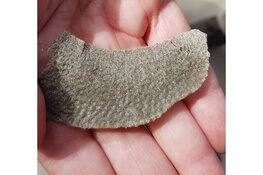 "Ontdek het leven op het strand tijdens strandexcursie Wijk aan Zee