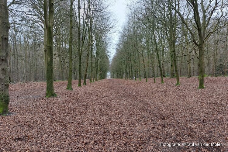 Minder natuur- en bosgebied in Nederland