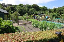 Brand in huisje op volkstuinencomplex in Beverwijk