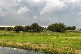 Hooien op De Linie van Beverwijk