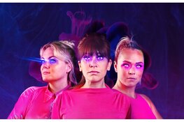 ‘Zienderogen’ van DE MEIDEN van toen in Beverwijk