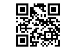 Jeugd Wijk aan Zee organiseert surffestival