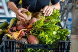 Goed voornemen 2025: Bouw mee aan Herenboeren Rorik