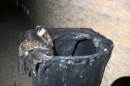 Veel schade aan schuur na brand in kliko in Beverwijk