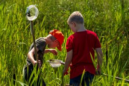 Geslaagde Open Dag bij Herenboeren Rorik in de Wijkermeerpolder