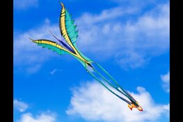 Vliegers en vleugels bij kinderboerderij de Baak