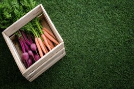 Waarom kunstgras ideaal is voor drukbezette tuinliefhebbers