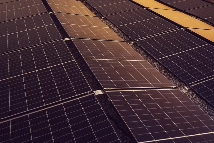 Meepraten over plannen voor zonnepanelen langs snelwegen