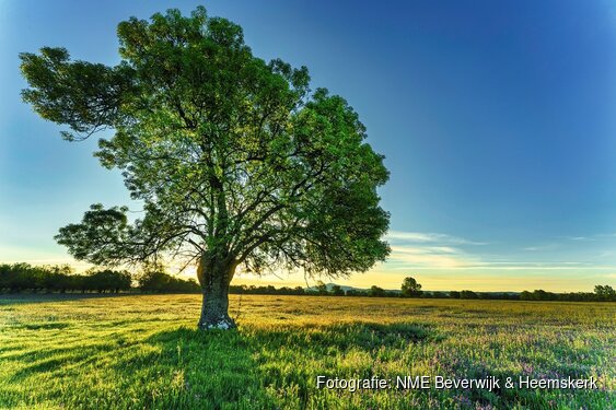 Lezing natuurbeleving voor volwassenen op 16 september in het Koetshuijs