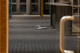 Inbraak en vernieling bij Castor College in Beverwijk