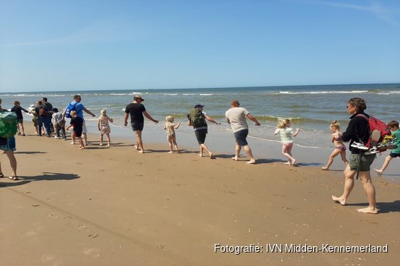 Korren op het strand van Wijk aan Zee - Ontdek wat er leeft in de Noordzee!